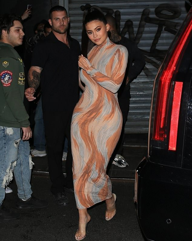 Herve Leger Nude Long Sleeve Printed Mesh Dress