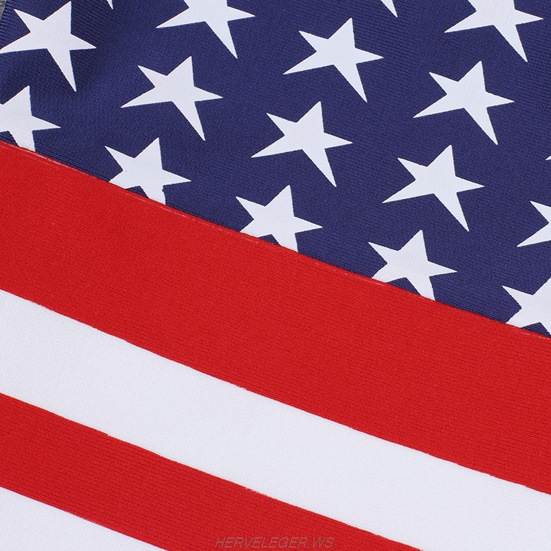Herve Leger USA Flag Strapless Bandeau Dress