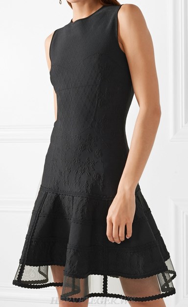 Herve Leger Black Mesh A Line Dress