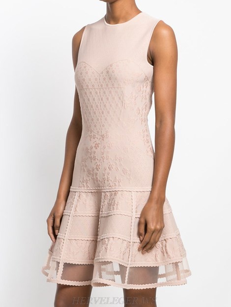 Herve Leger Nude Pink Mesh A Line Dress