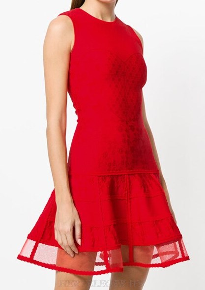 Herve Leger Red Mesh A Line Dress