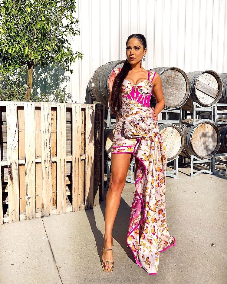 Herve Leger Floral Bustier Corset Draped Dress