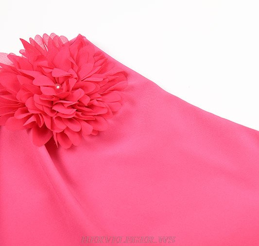 Herve Leger Hot Pink Flower Two Piece Dress