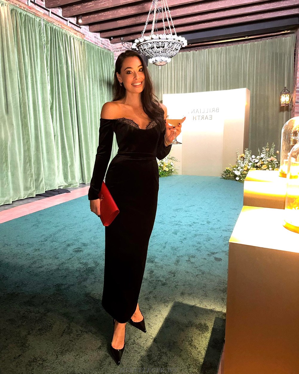 Herve Leger Black Long Sleeve Lace Style Velvet Gown