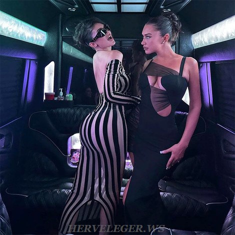 Herve Leger Black Draped Mesh Bustier Gown