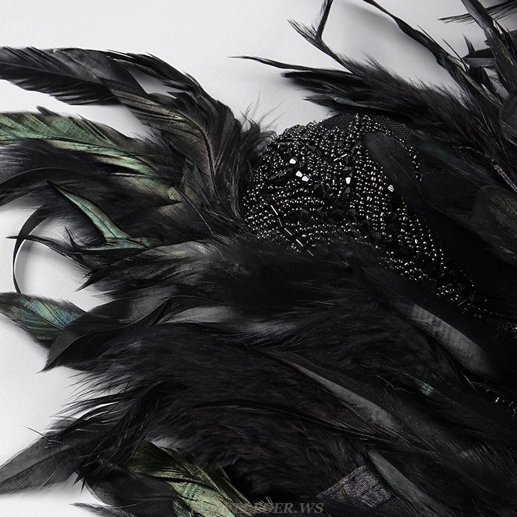 Herve Leger Black Strapless Feather Embellished Dress