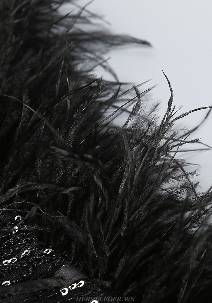 Herve Leger Black Long Sleeve Feathers Sequin Dress
