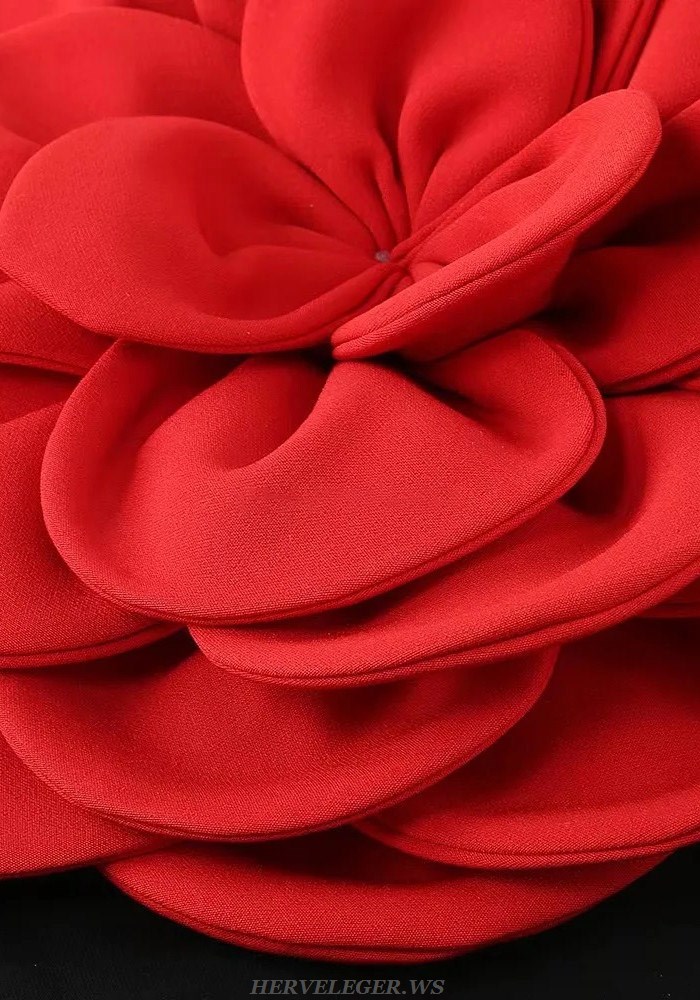 Herve Leger Black Red Long Sleeve Flower Gown 