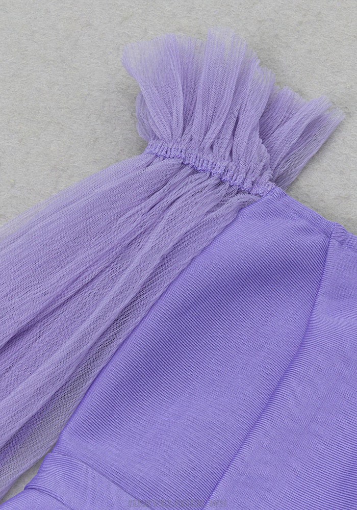 Herve Leger Purple Mesh Long Sleeve Dress