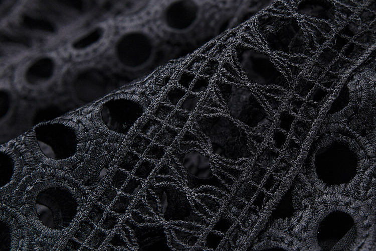Herve Leger Black Transparent Hollow Panelled Gown