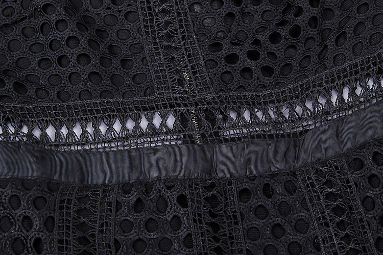 Herve Leger Black Transparent Hollow Panelled Gown