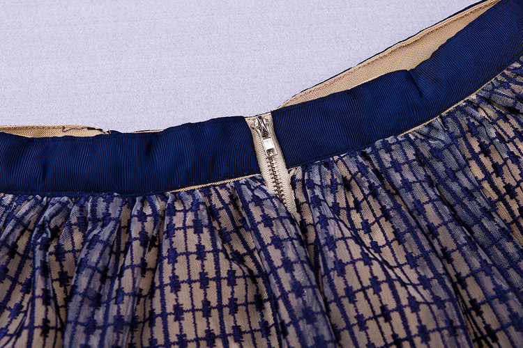 Herve Leger Blue Beige Transparent Chiffon Lace Skirt