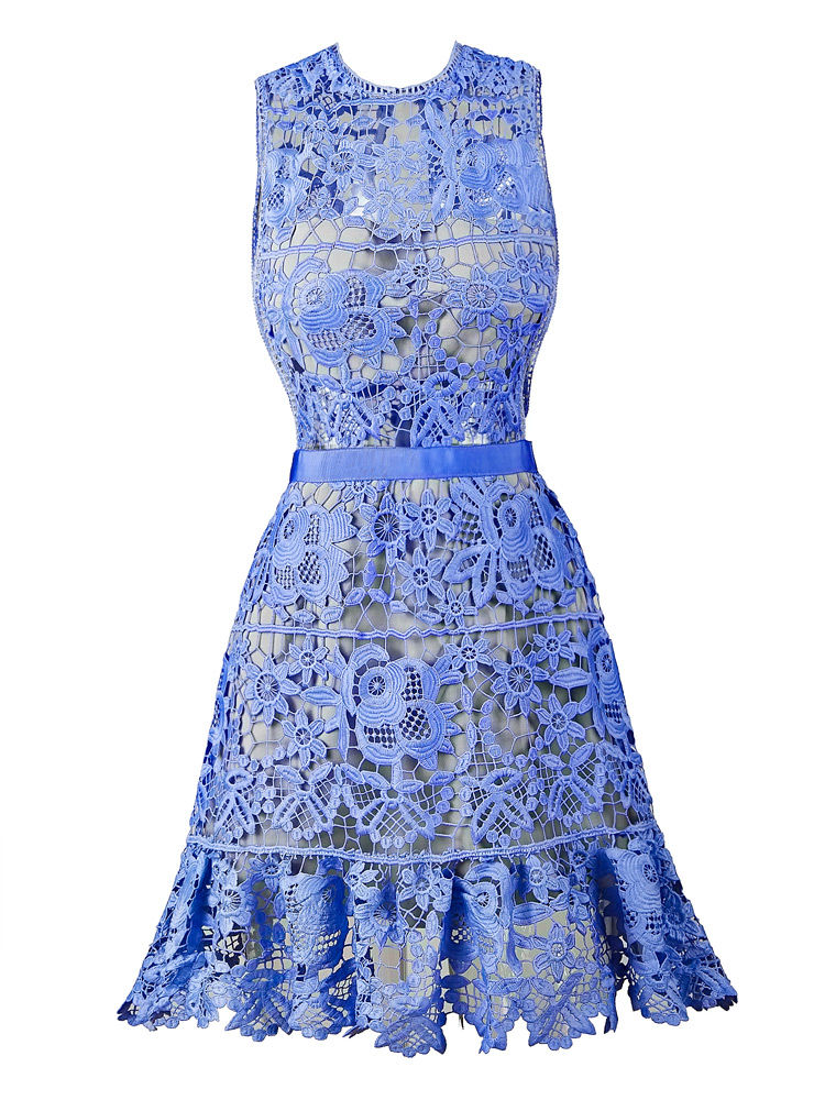 Herve Leger Blue Hollow Flowers Transparent Lace Dress