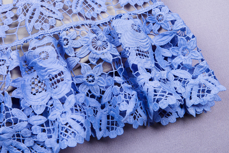 Herve Leger Blue Hollow Flowers Transparent Lace Dress