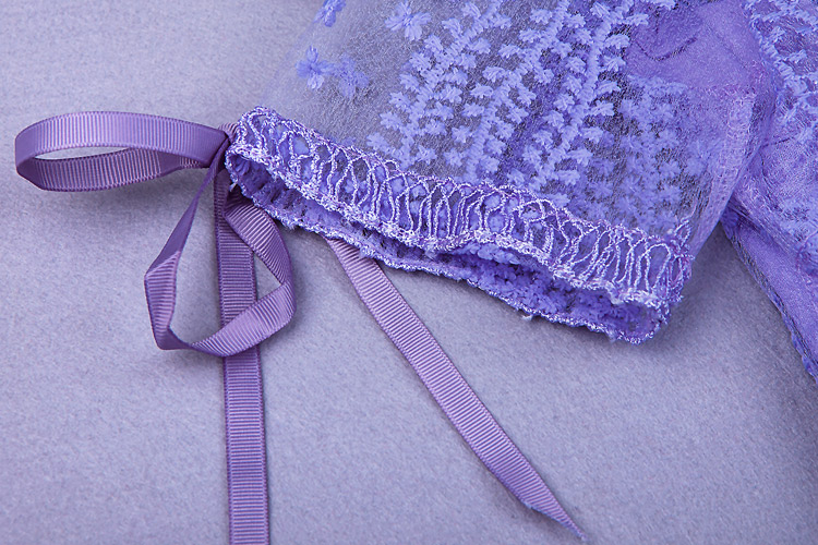 Herve Leger Purple Mid Sleeve Transparent Lace Gown