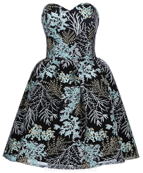 Herve Leger Strapless Embroidered Skater Dress