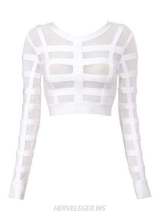 Herve Leger Luna Bandage and Sheer Mesh Cropped Top