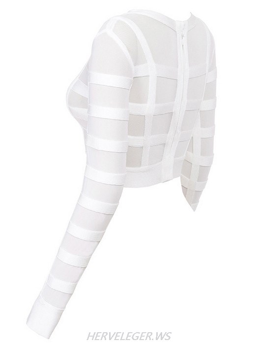 Herve Leger Luna Bandage and Sheer Mesh Cropped Top
