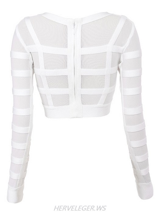 Herve Leger Luna Bandage and Sheer Mesh Cropped Top